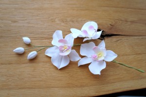 Tortendekoration Orchideen