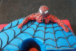 Torte Spiderman Tortendekorationskurse Fondant Motivtorte Saarbrücken Kaiserslautern Landstuhl