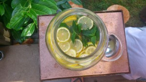 Limonade selber machen Zitronen-Limonade mit Ingwer